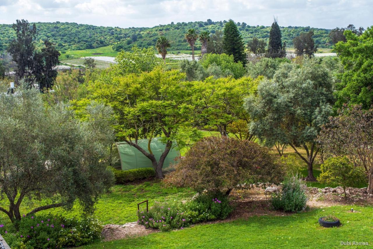 Amikam Meshek 81 משק 81 עמיקם Villa Exterior foto