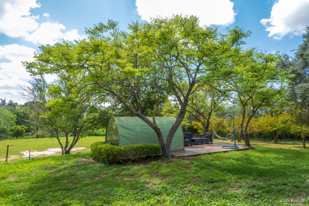 Amikam Meshek 81 משק 81 עמיקם Villa Exterior foto