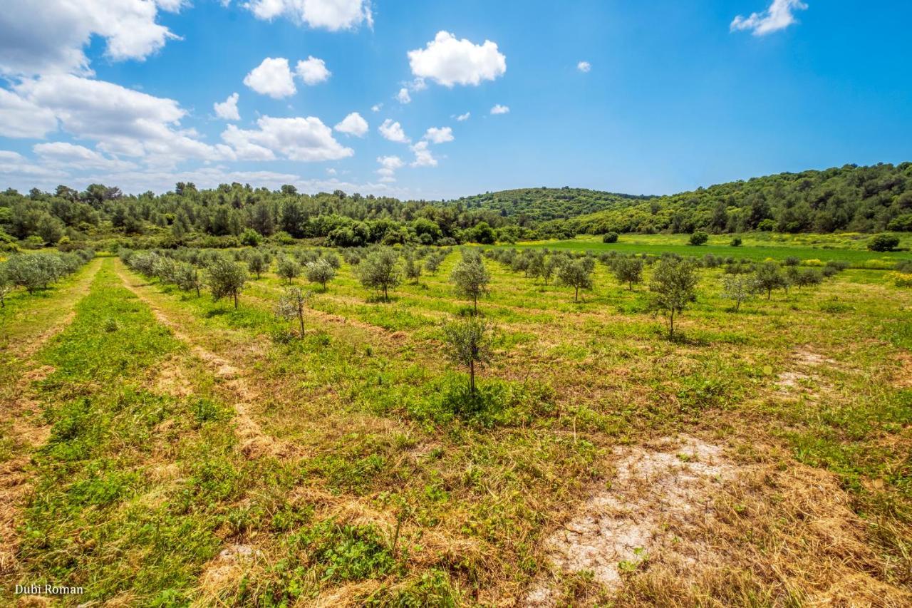 Amikam Meshek 81 משק 81 עמיקם Villa Exterior foto