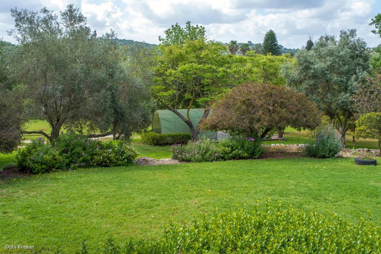 Amikam Meshek 81 משק 81 עמיקם Villa Exterior foto