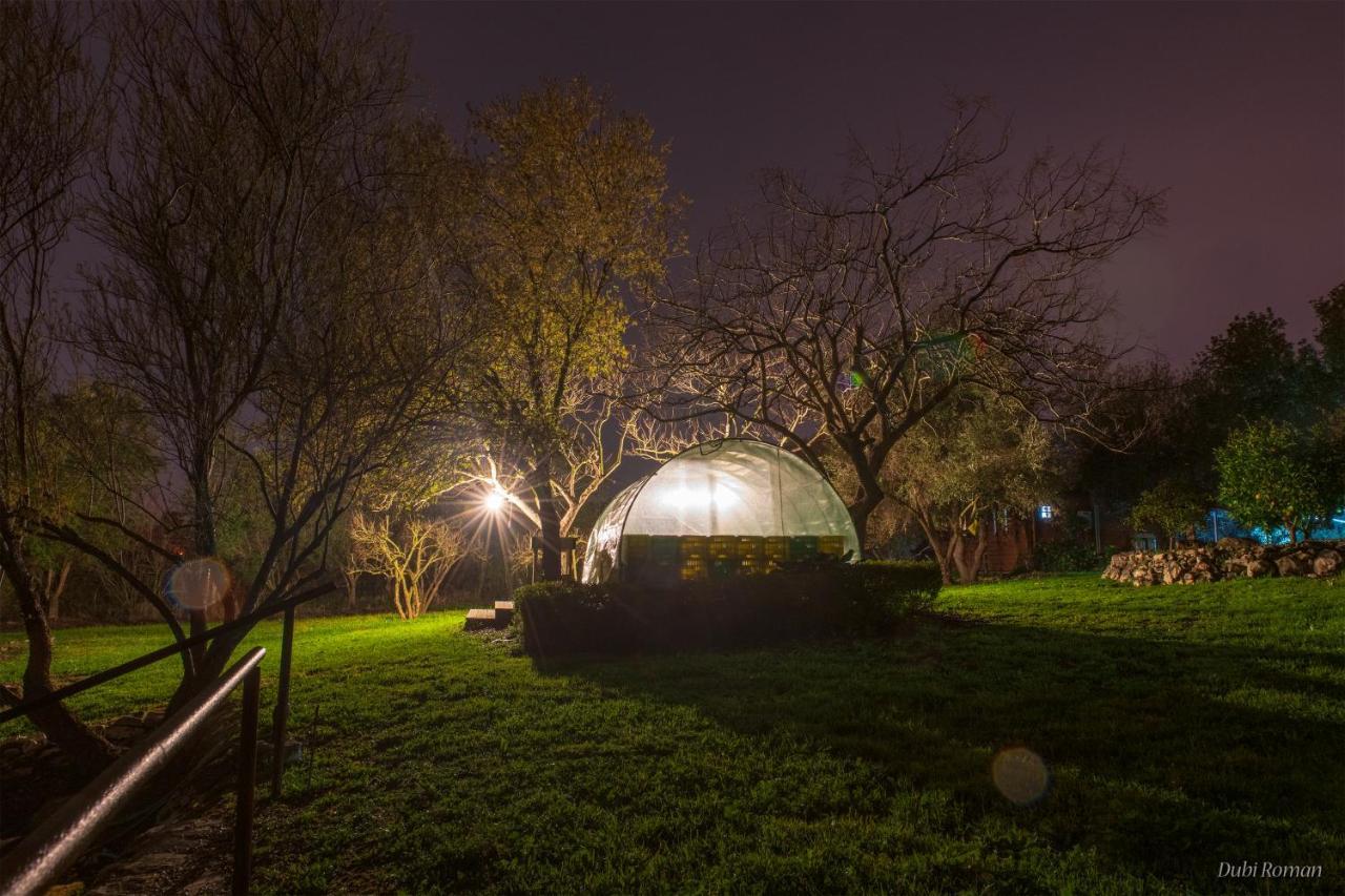 Amikam Meshek 81 משק 81 עמיקם Villa Exterior foto