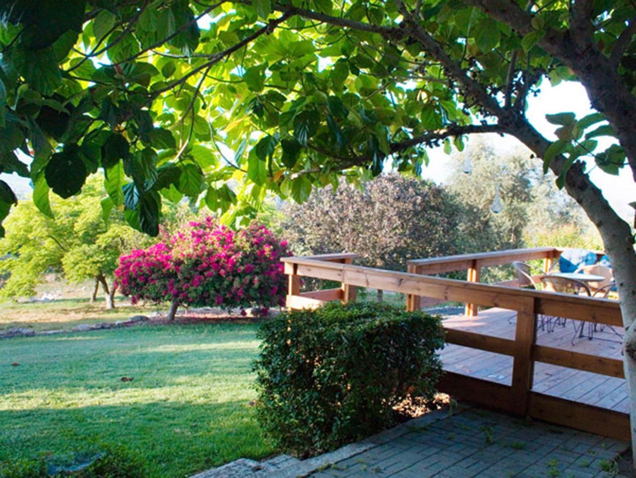 Amikam Meshek 81 משק 81 עמיקם Villa Exterior foto