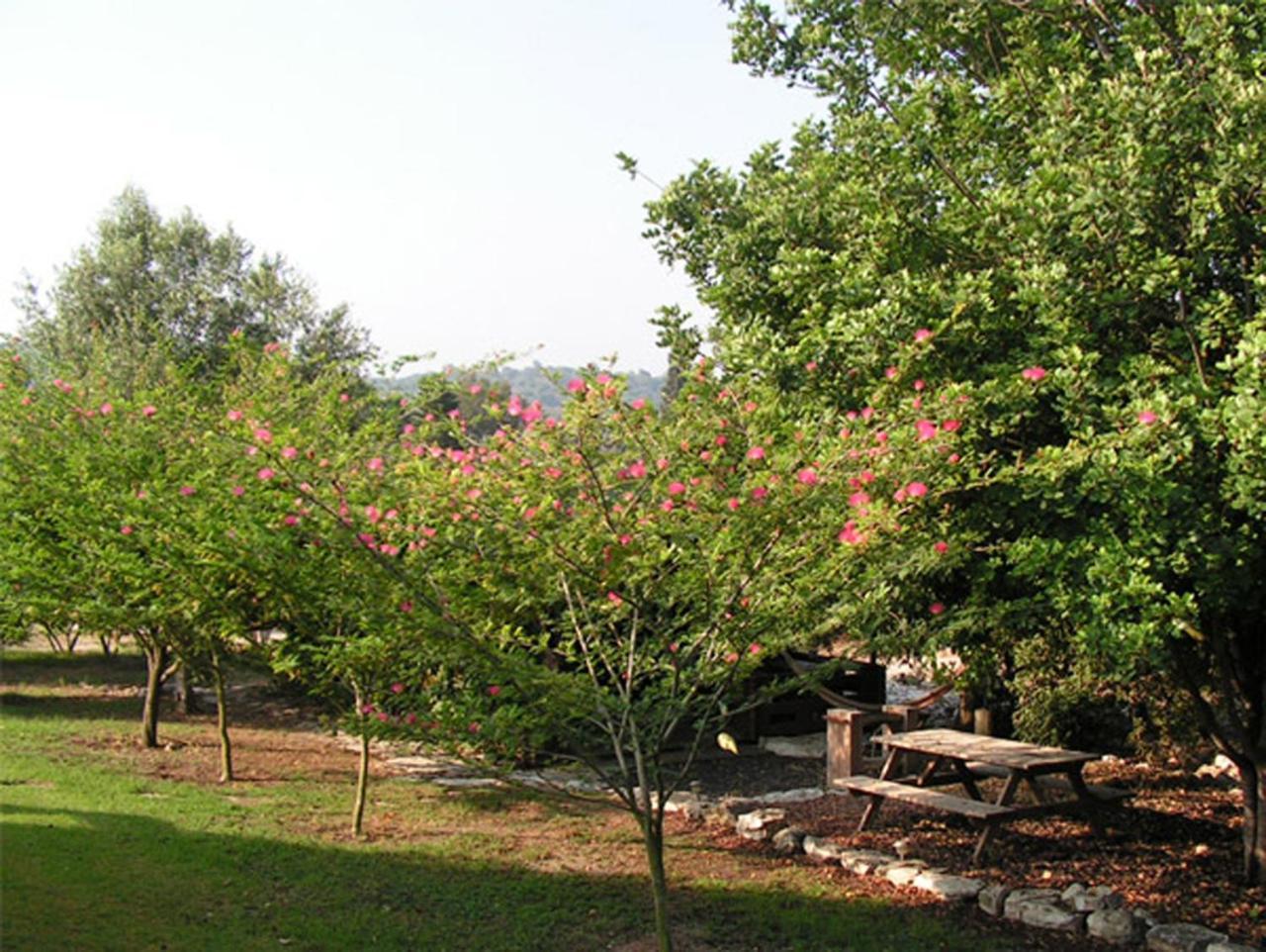 Amikam Meshek 81 משק 81 עמיקם Villa Exterior foto